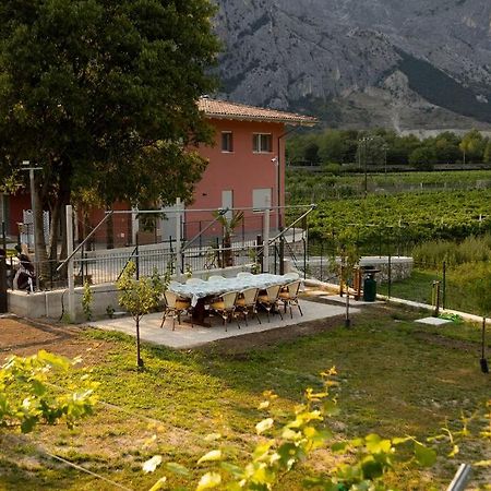 Holiday Apartments Giulia - Gold Pietramurata Dış mekan fotoğraf