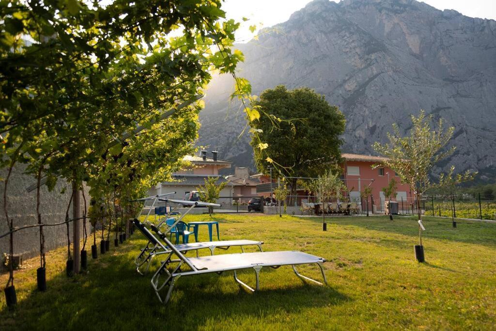 Holiday Apartments Giulia - Gold Pietramurata Dış mekan fotoğraf